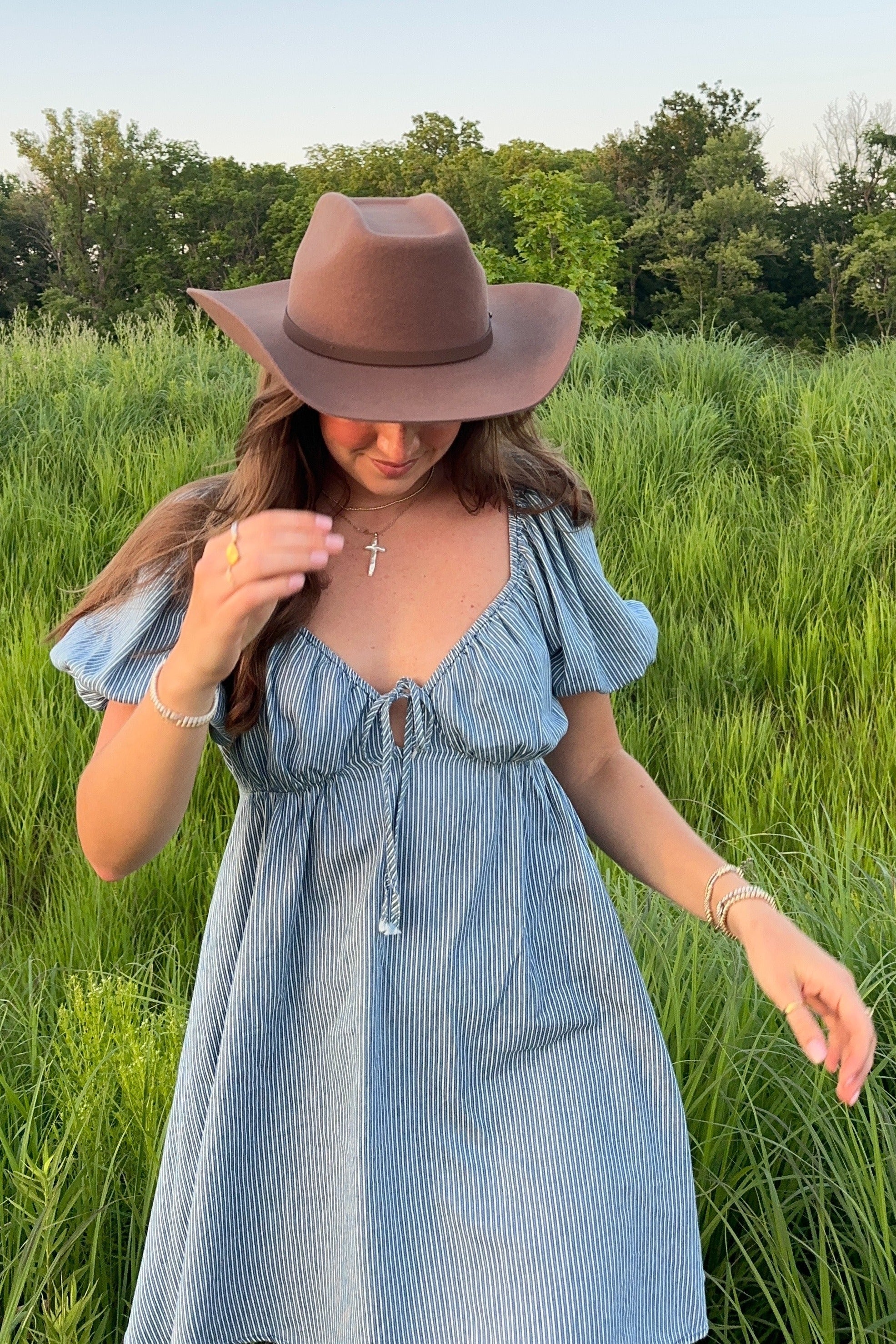 Blue Striped Chambray Front Tie Maternity Mini Dress